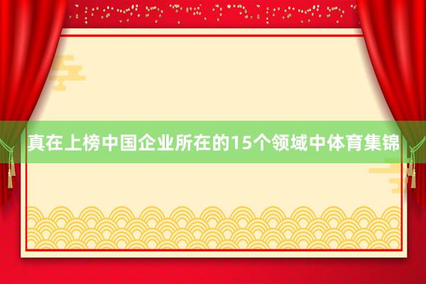 真在上榜中国企业所在的15个领域中体育集锦