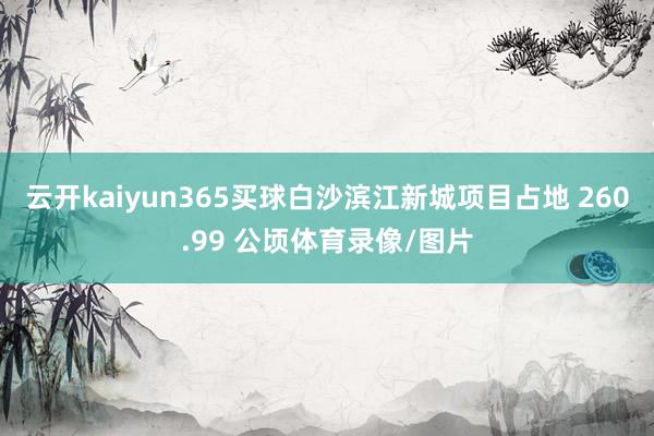 云开kaiyun365买球白沙滨江新城项目占地 260.99 公顷体育录像/图片