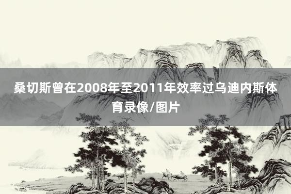 桑切斯曾在2008年至2011年效率过乌迪内斯体育录像/图片