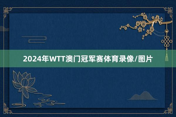 2024年WTT澳门冠军赛体育录像/图片