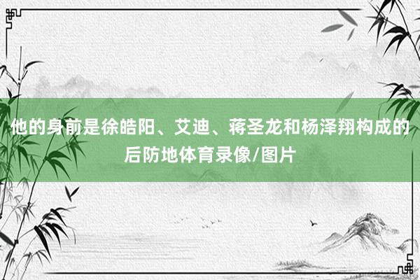 他的身前是徐皓阳、艾迪、蒋圣龙和杨泽翔构成的后防地体育录像/图片