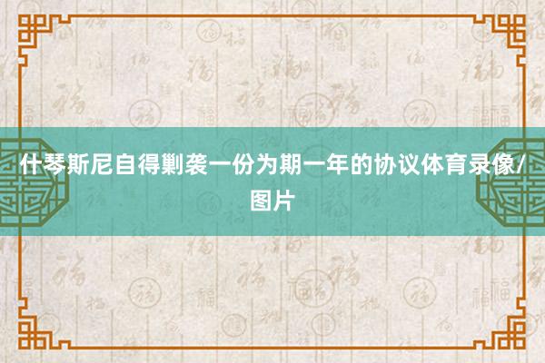 什琴斯尼自得剿袭一份为期一年的协议体育录像/图片